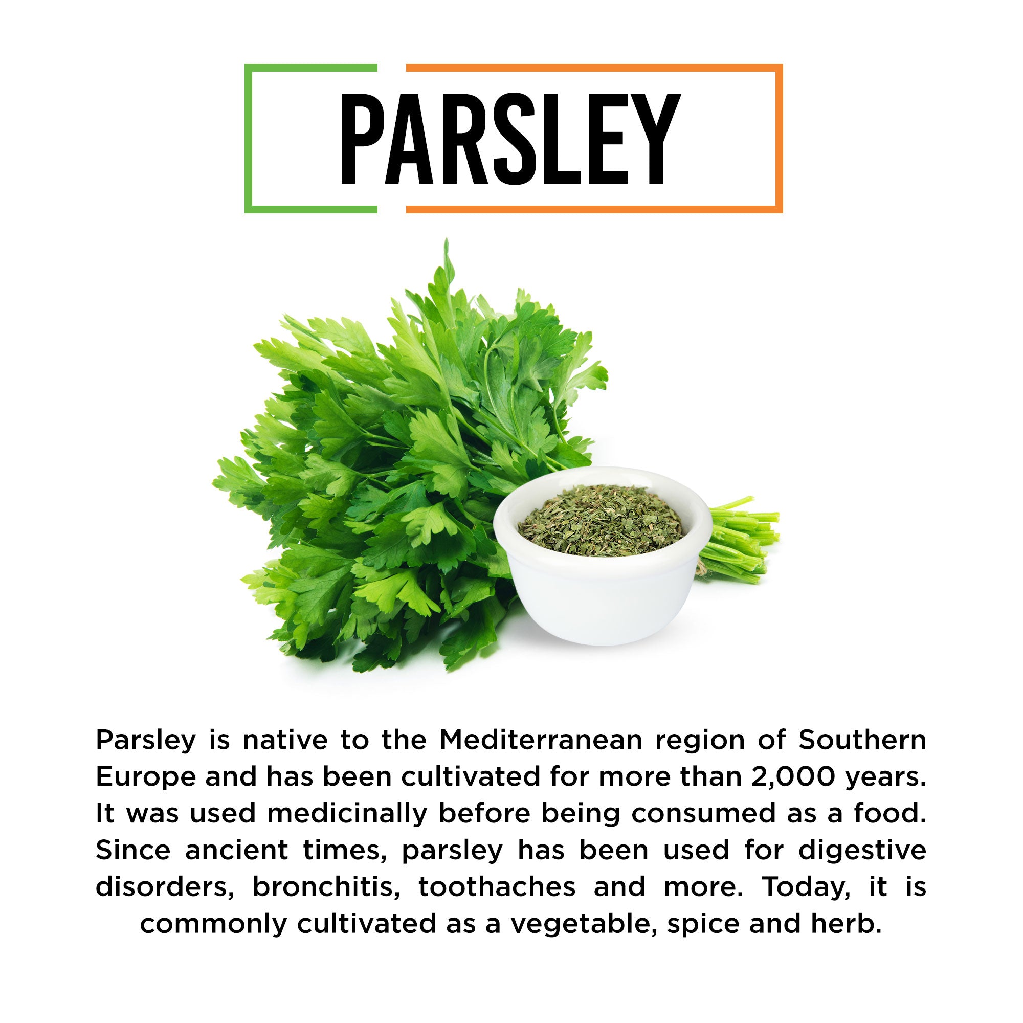 Chef Urbano Parsley 40 Gms