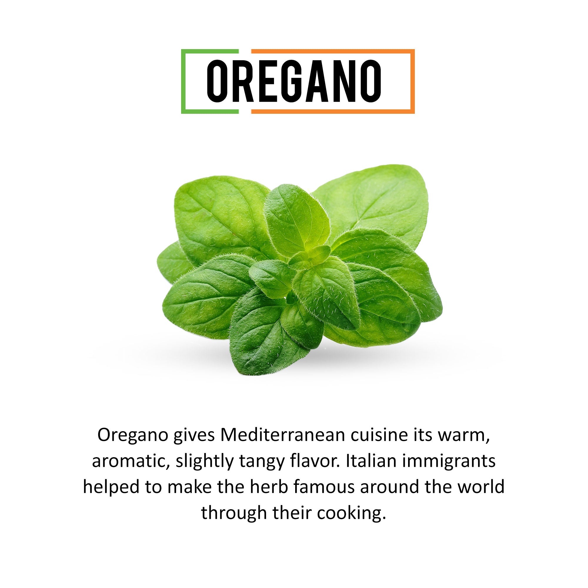 Chef Urbano Oregano Sprinkler 40g