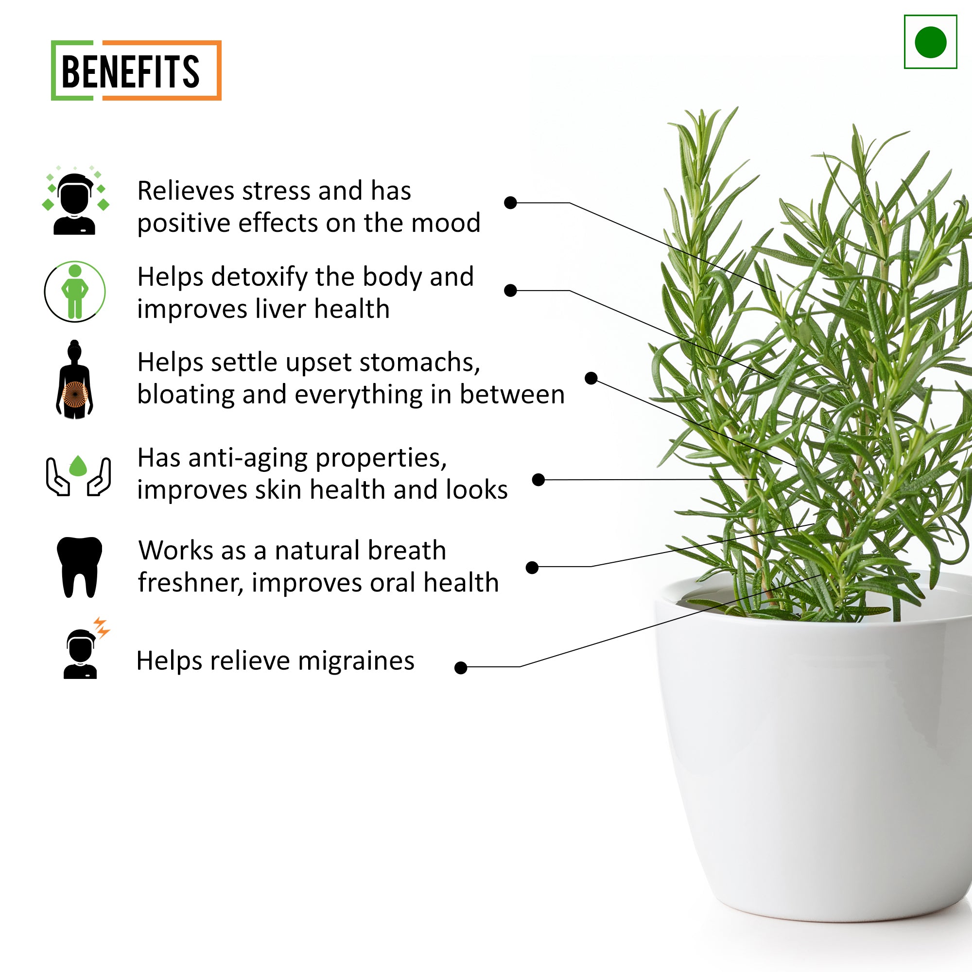 Chef Urbano Rosemary 40 Gms